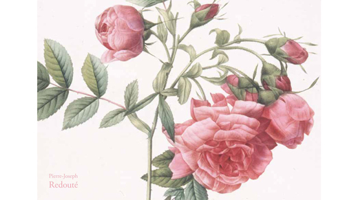 バラをこよなく愛する乙女たちへ……。宮廷画家ルドゥーテの作品が堪能できる、美麗なビジュアル文庫が発売！